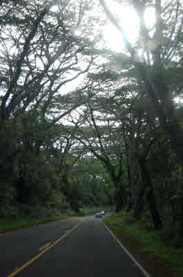 Pohoiki Rd Pahoa Hi 96778 Sold Property