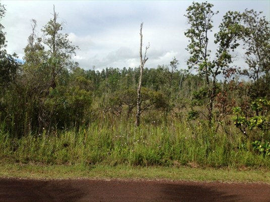 3rd Ave Keaau Hi 96749 Sold Property
