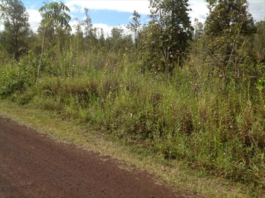 3rd Ave Keaau Hi 96749 Sold Property