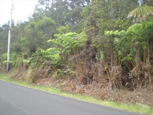 Liona St. Volcano Hi 96785 Sold Property