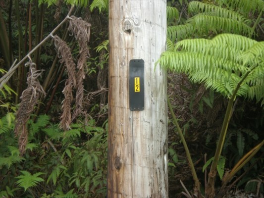 Liona St. Volcano Hi 96785 Sold Property