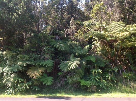 Liona St. Volcano Hi 96785 Sold Property