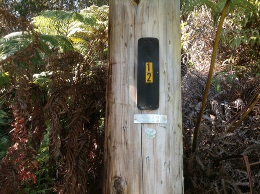 Liona St. Volcano Hi 96785 Sold Property
