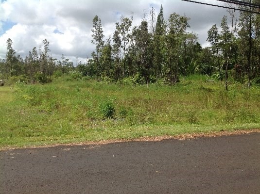 19th Ave Keaau Hi 96749 Sold Property