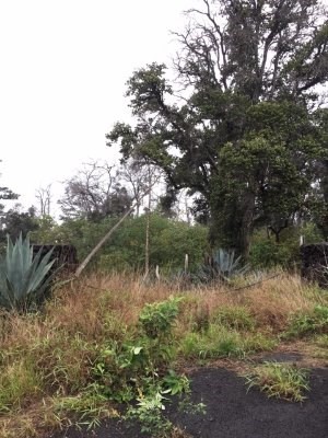 Sold Property