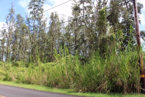 Silversword Dr Pahoa Hi 96778 Sold Property