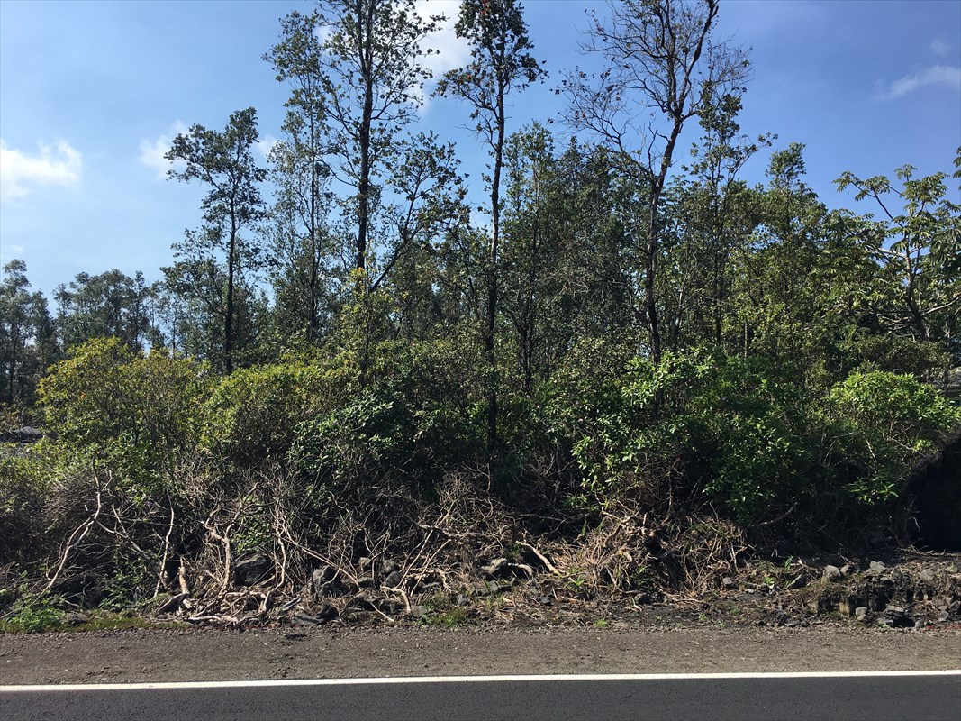 16-2056 Jewel Dr Pahoa Hi 96778 Sold Property