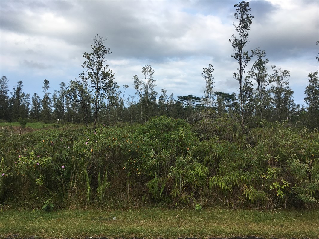 Hanale Dr Pahoa Hi 96778 Sold Property