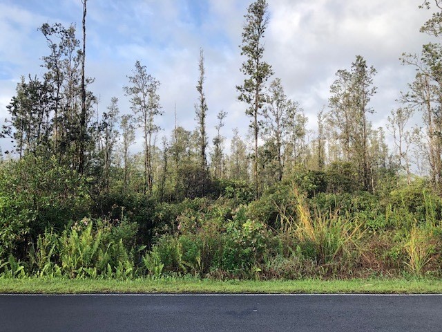 Silversword Dr Pahoa Hi 96778 Sold Property