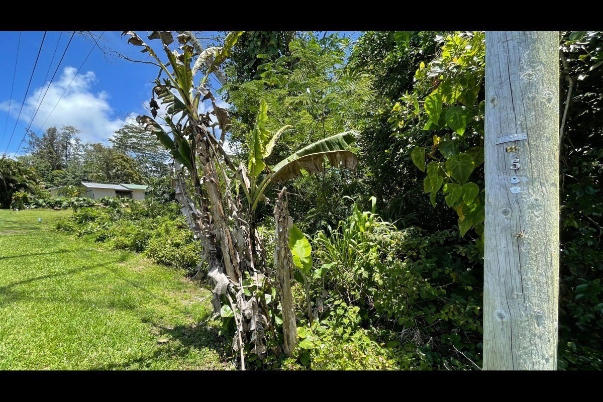Kaku St Pahoa Hi 96778 Sold Property