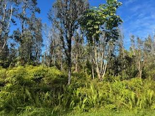 Forest Rd Pahoa Hi 96778 Sold Property