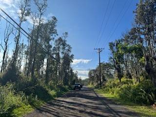 Forest Rd Pahoa Hi 96778 Sold Property