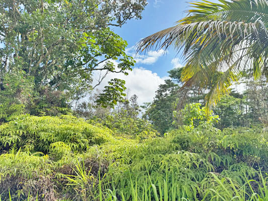 Lalakea St Pahoa Hi 96778 Sold Property