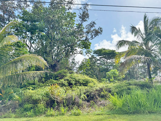 Lalakea St Pahoa Hi 96778 Sold Property