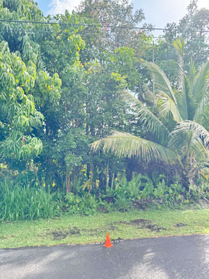 Lalakea St Pahoa Hi 96778 Sold Property