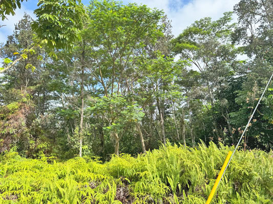 Anae St Pahoa Hi 96778 Sold Property