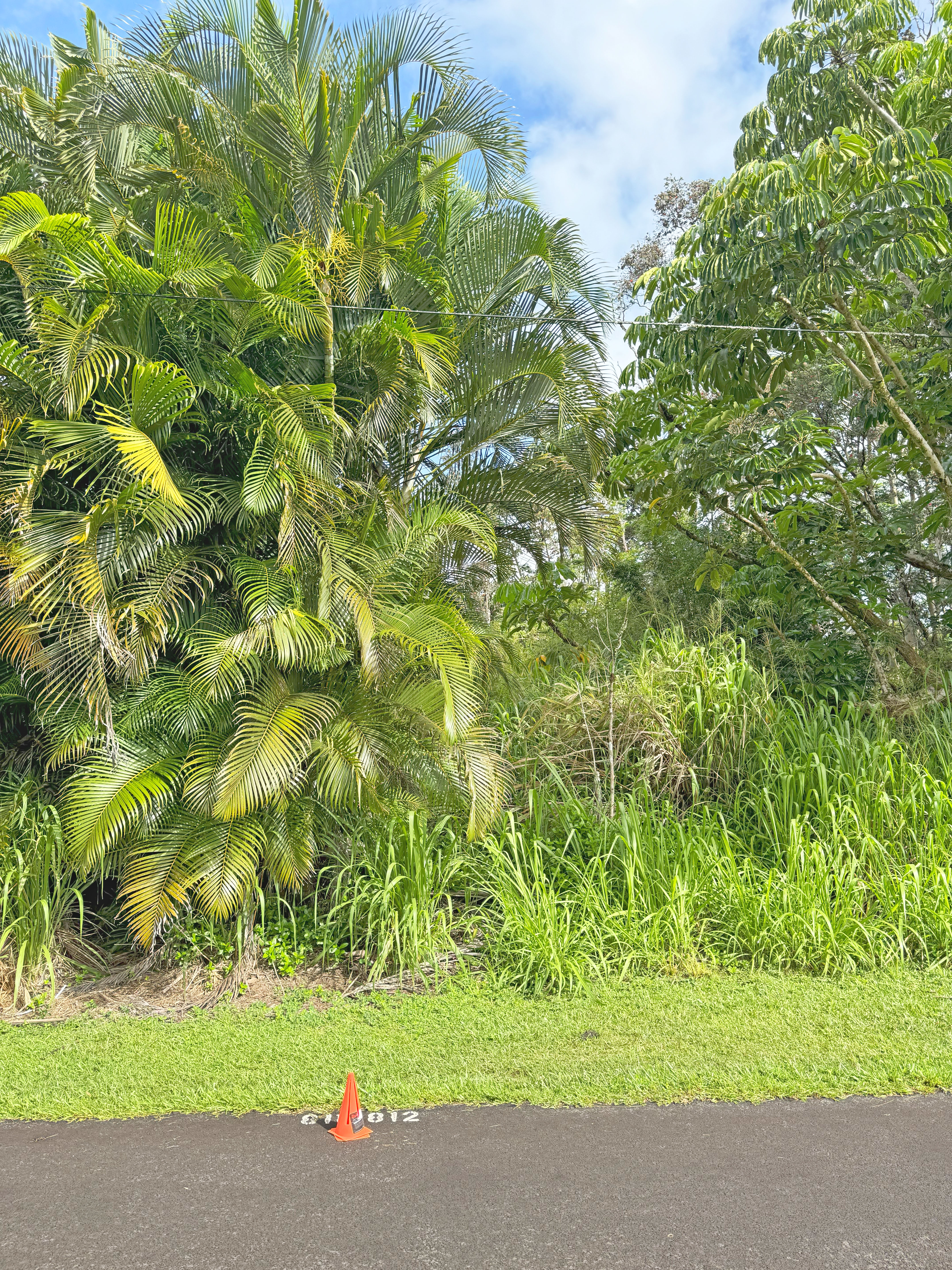 Anae St Pahoa Hi 96778 Sold Property