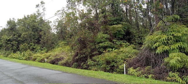 Pa Alii St Volcano Hi 96785 Sold Property