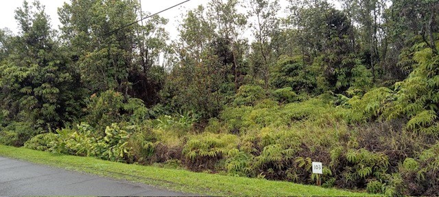 Pa Alii St Volcano Hi 96785 Sold Property