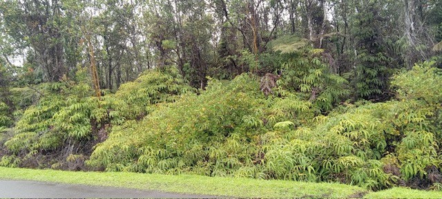 Pa Alii St Volcano Hi 96785 Sold Property