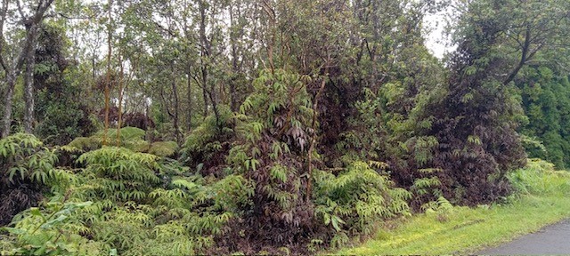 Pa Alii St Volcano Hi 96785 Sold Property
