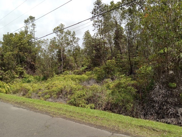 Pa Alii St Volcano Hi 96785 Sold Property