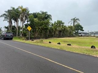 16-2074 Sandalwood Dr Pahoa Hi 96778 Sold Property