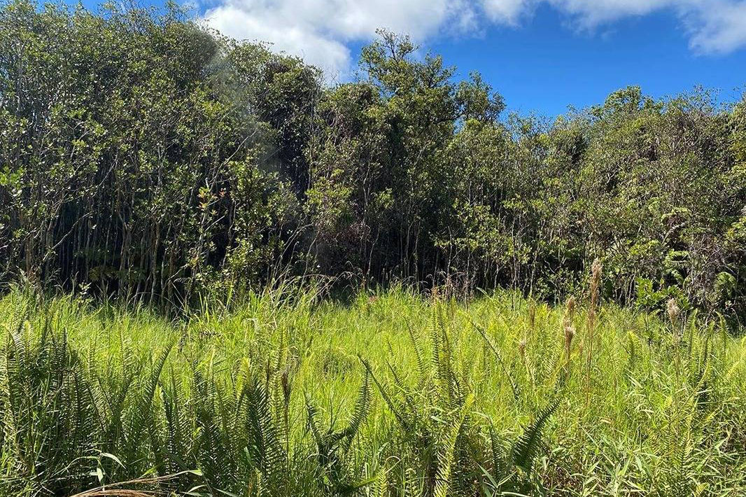 Volcano Hi 96785 Sold Property