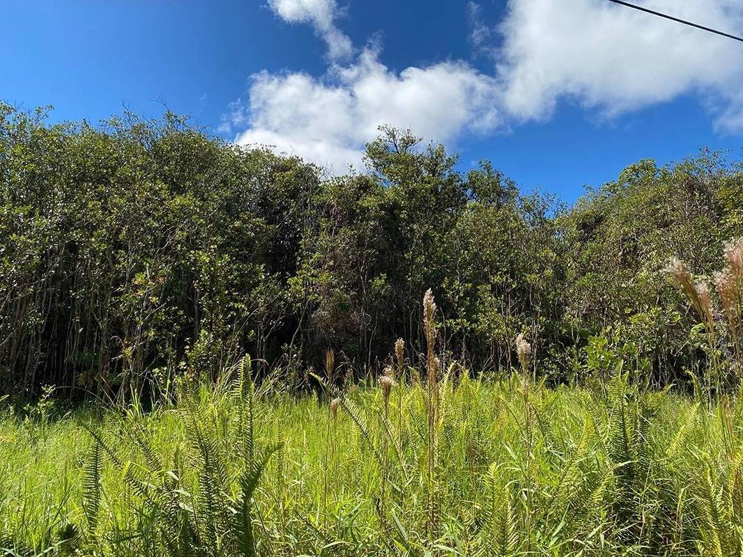 Volcano Hi 96785 Sold Property