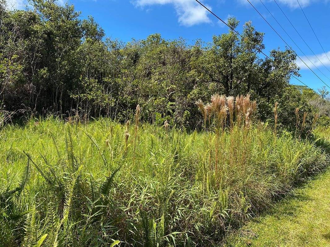 Volcano Hi 96785 Sold Property