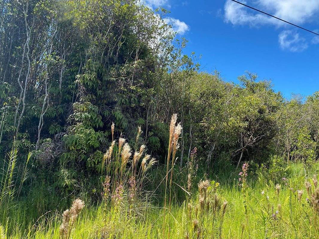 Volcano Hi 96785 Sold Property