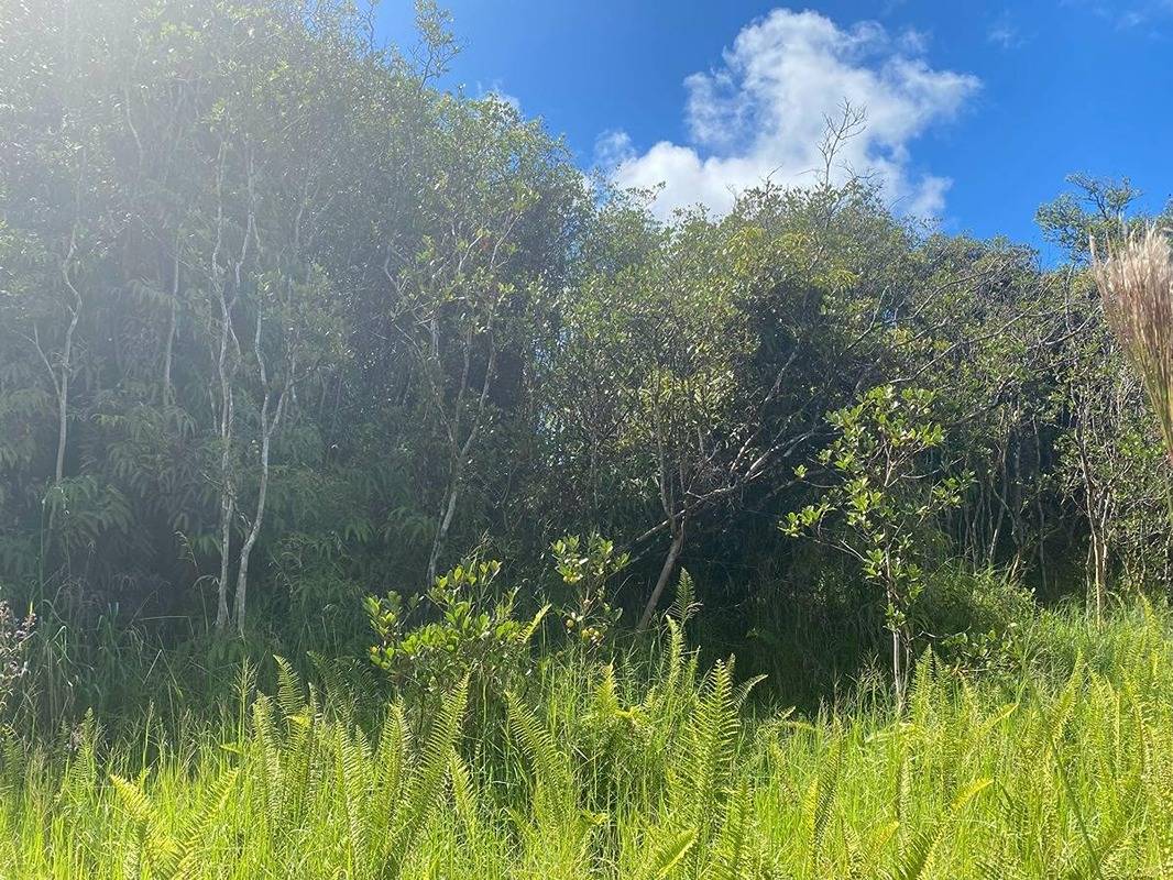 Volcano Hi 96785 Sold Property