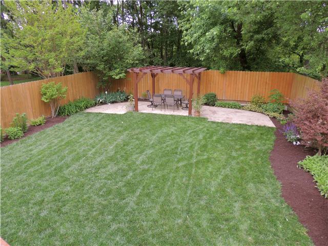 Back yard inside the privacy fenced area.