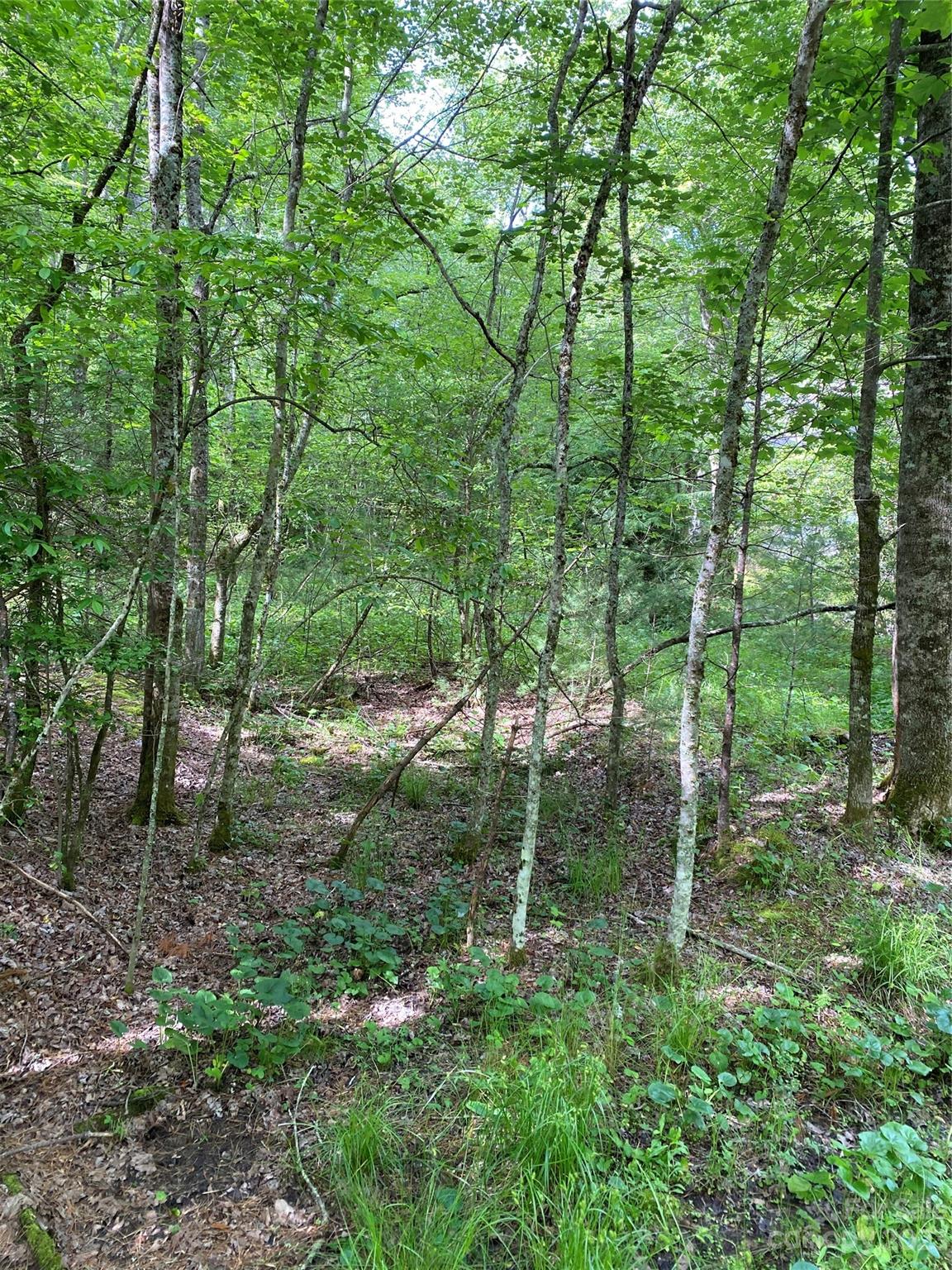 Sold Property