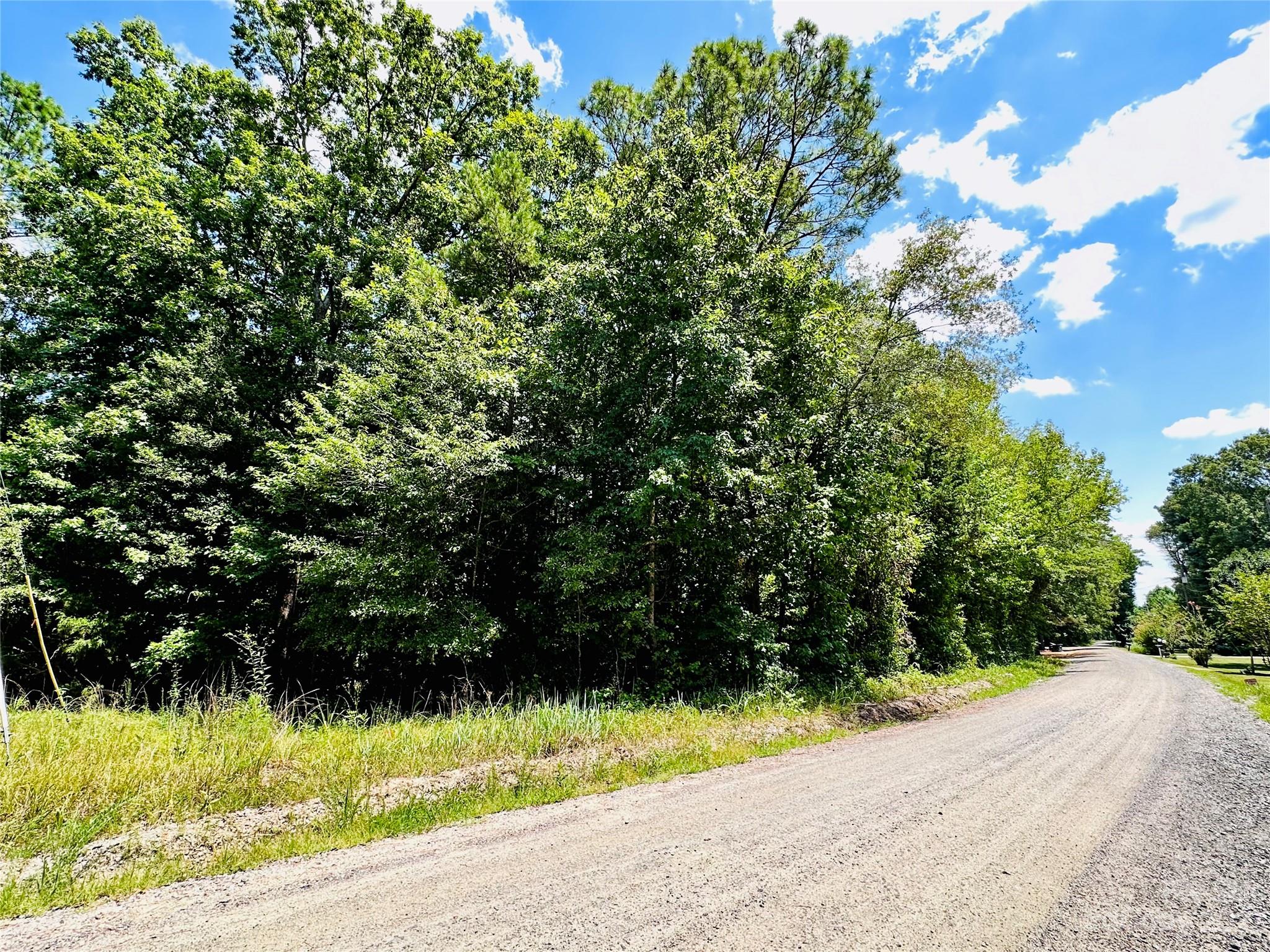 00 South Wyck UNIT TRACT B, Van Wyck SC 29720 Sold Property