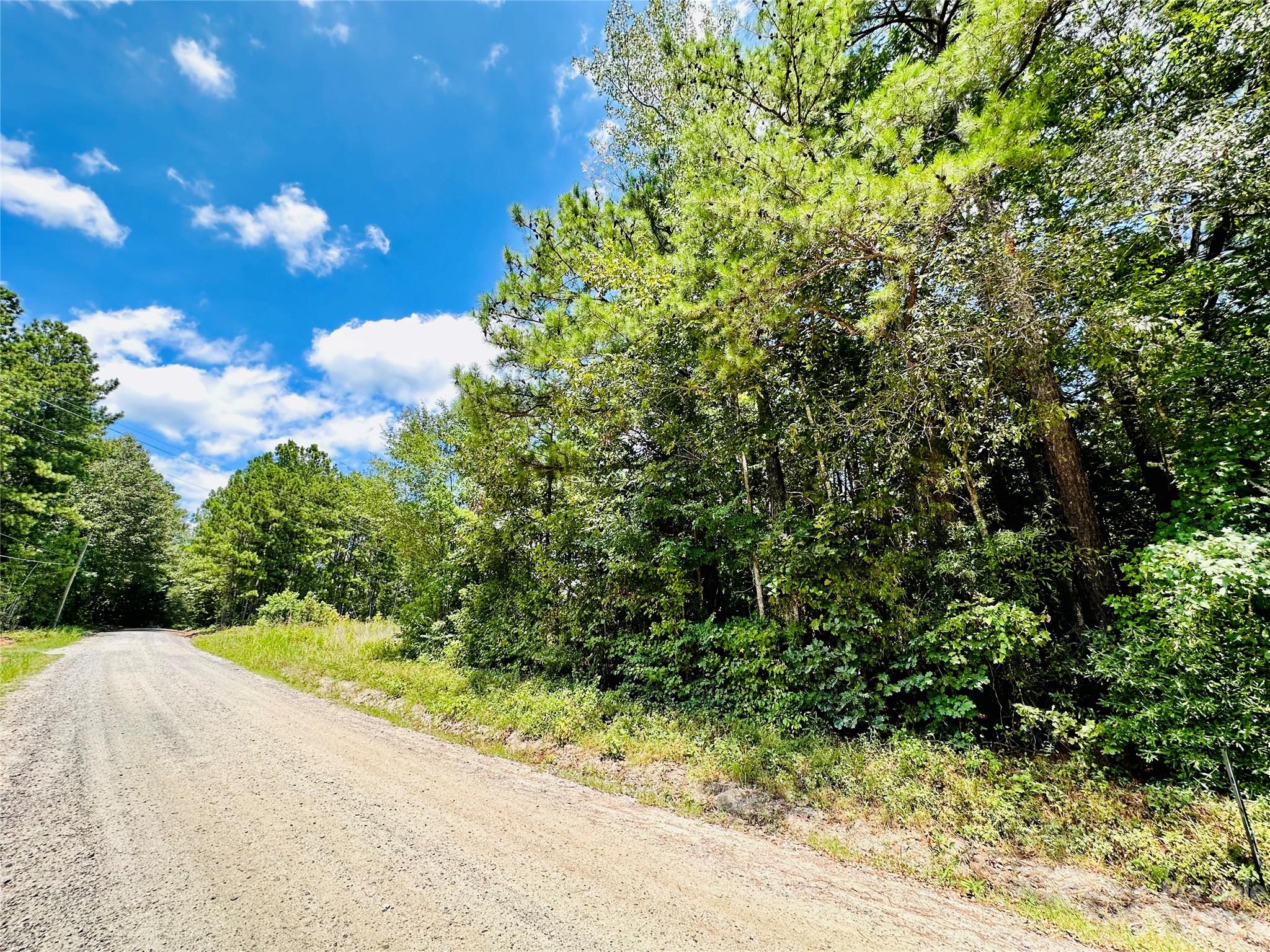 00 South Wyck UNIT TRACT B, Van Wyck SC 29720 Sold Property