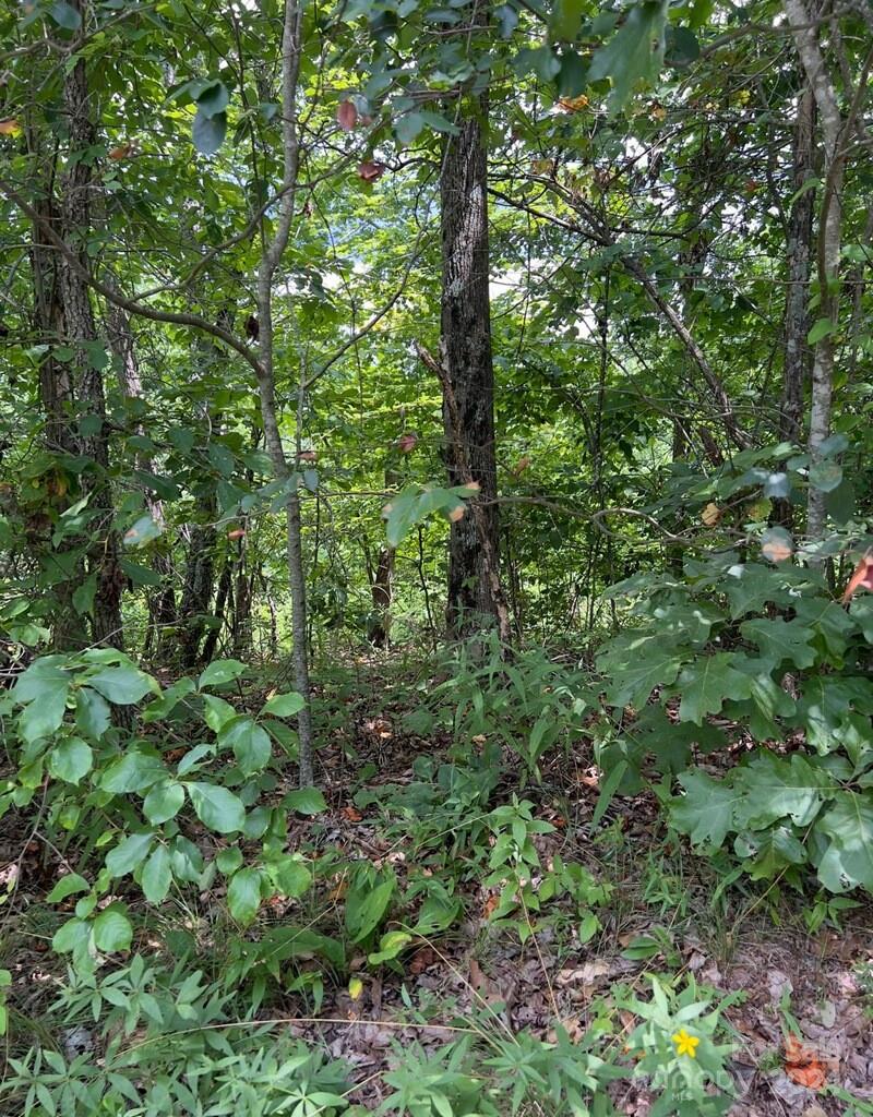 Recently Sold Listings Sold Property