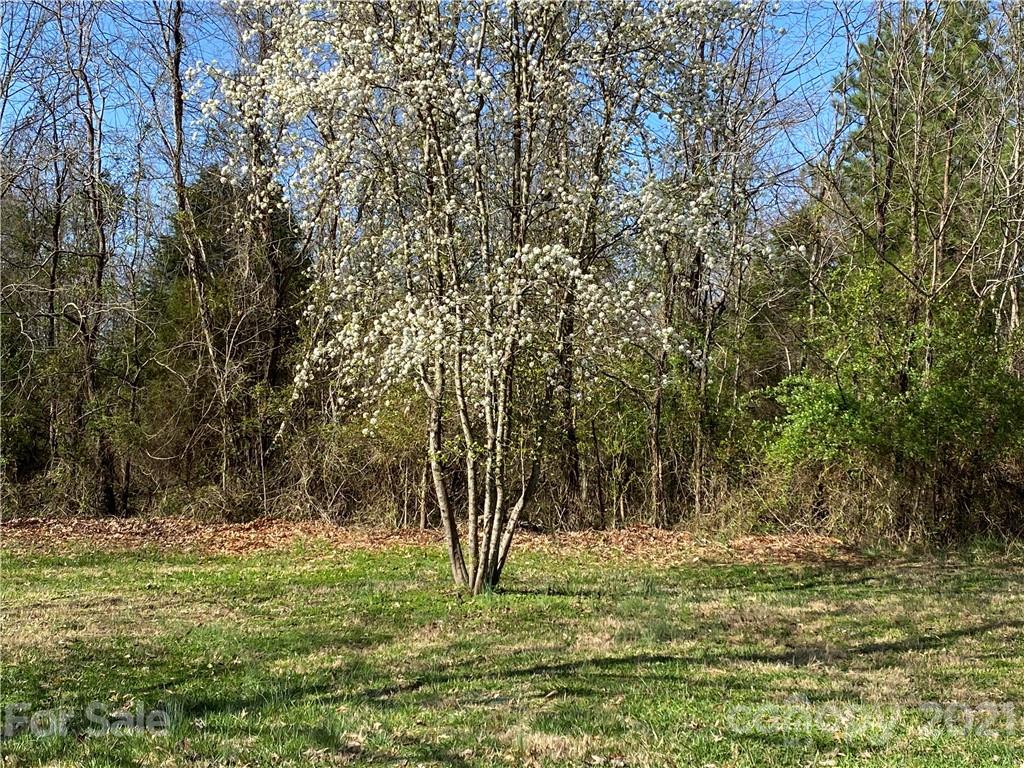 8454 Dog Leg, Sherrills Ford NC 28673 Sold Property