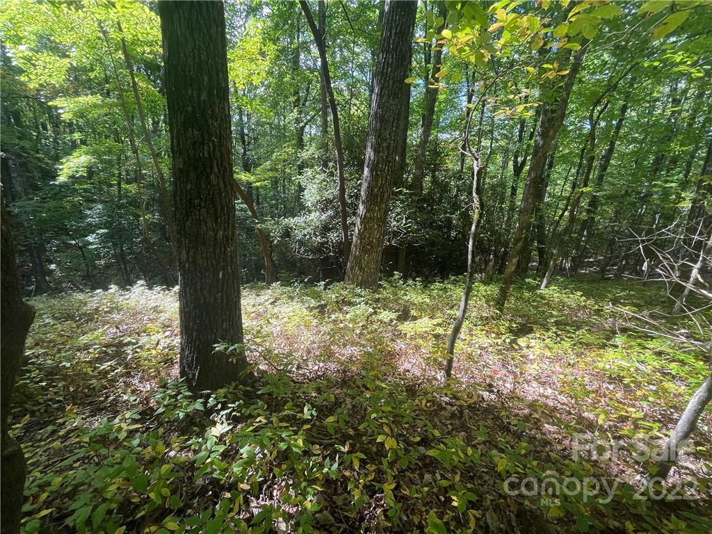 Sold Property