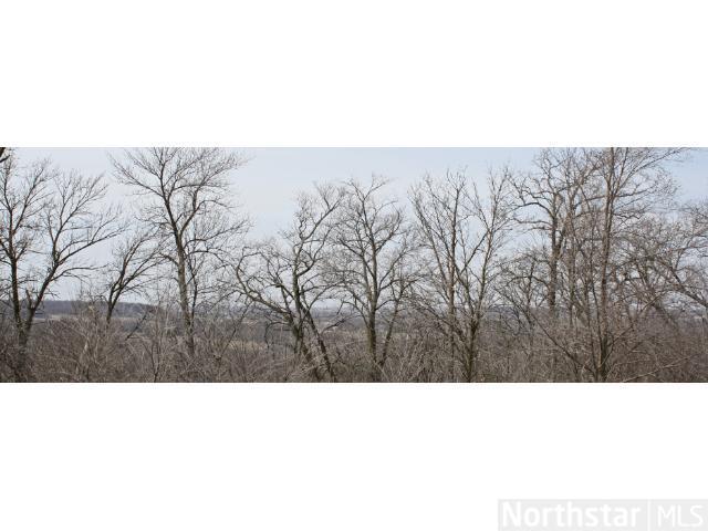 224 Limestone, Cannon Falls MN 55009 Sold Property
