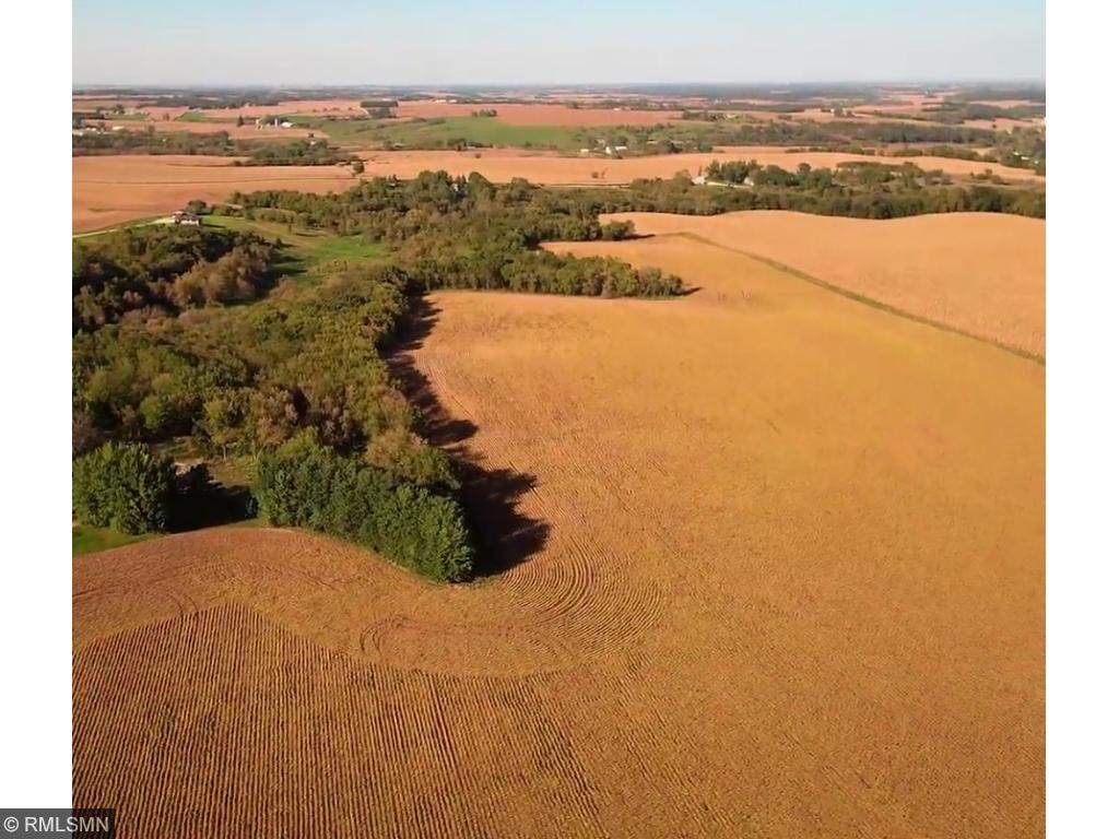 37XXX 112th Avenue, Cannon Falls MN 55009 Sold Property