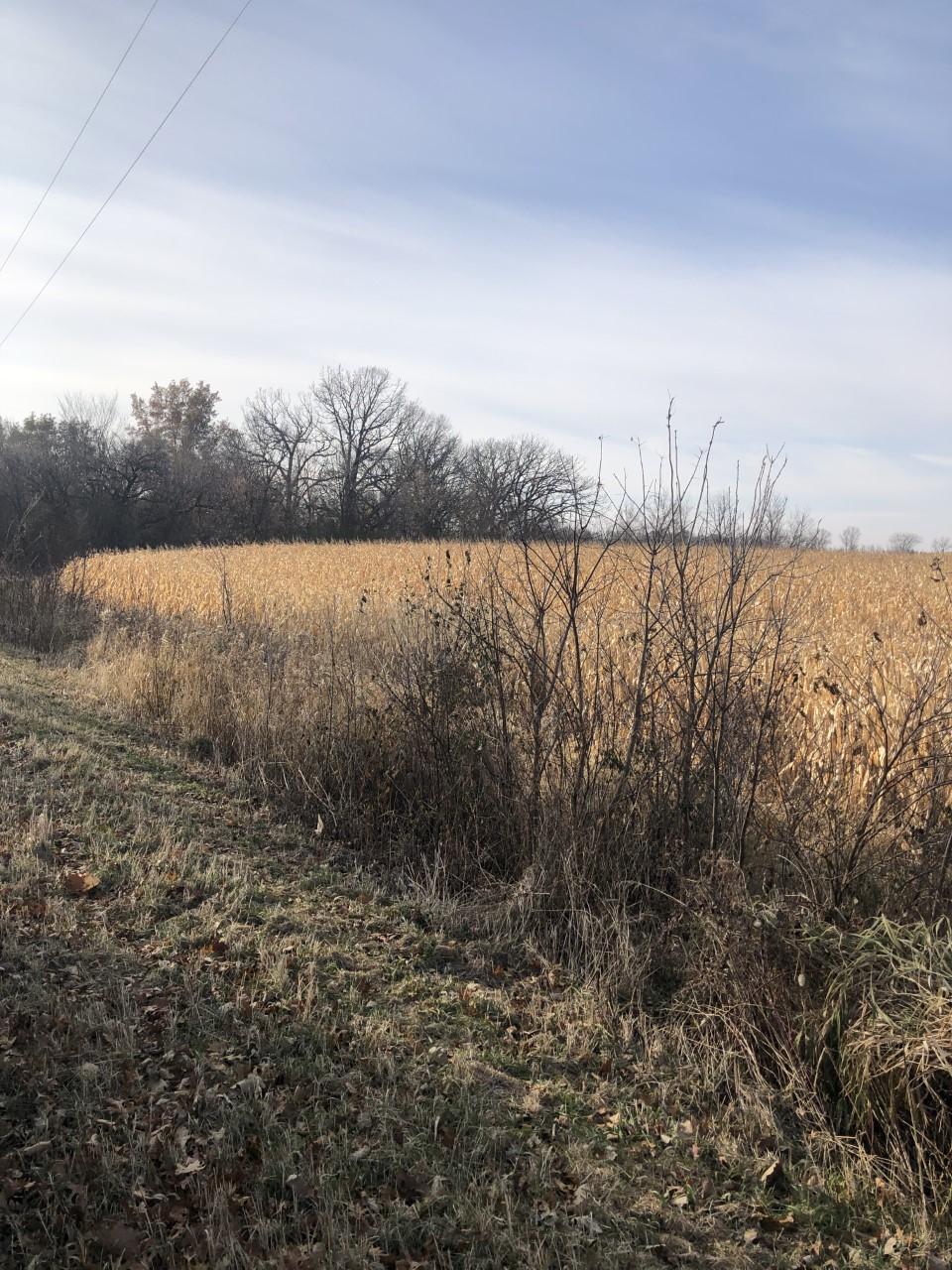 Sold Property