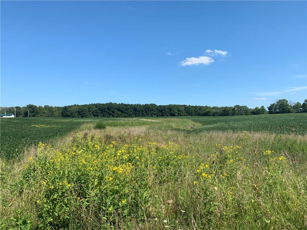 8900 1000, Carthage IN 46115 Sold Property
