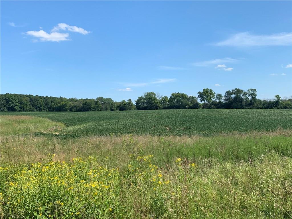 8900 1000, Carthage IN 46115 Sold Property