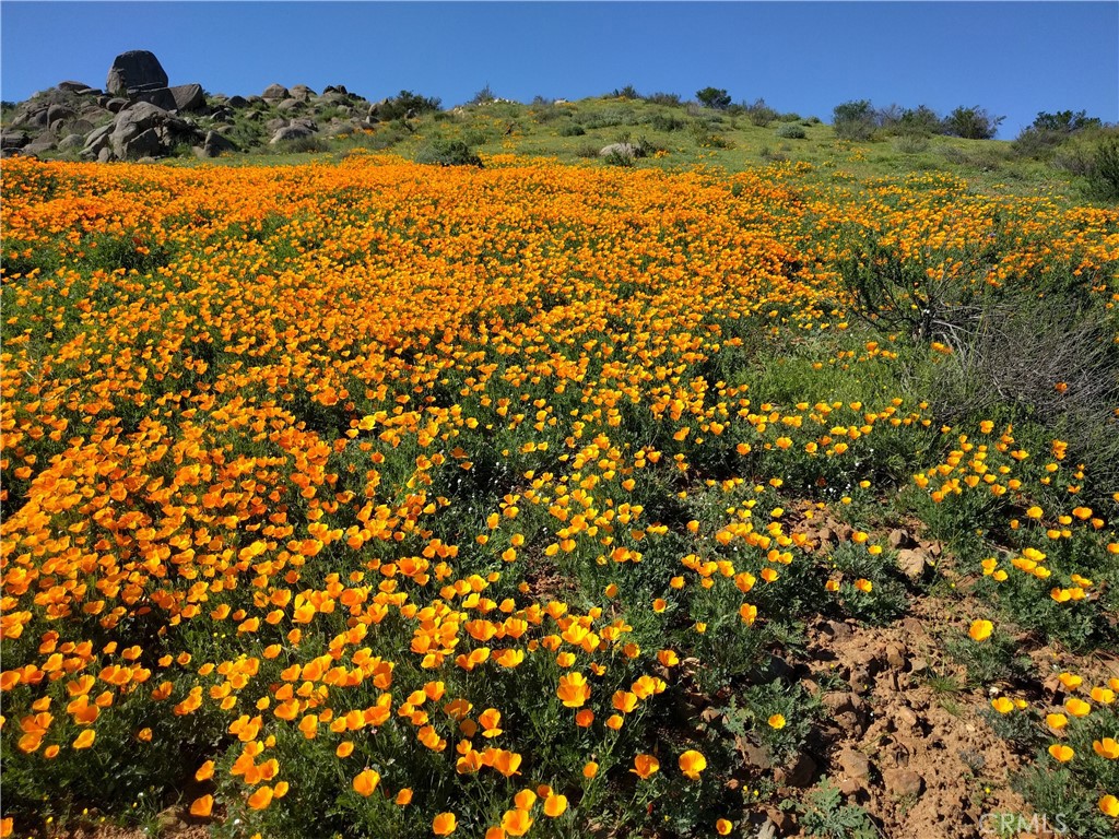 19906 Santa Rosa Mine Road Sold Property