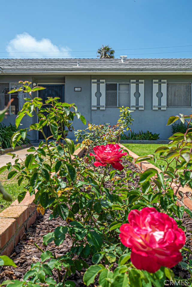 1386 California Street Sold Property