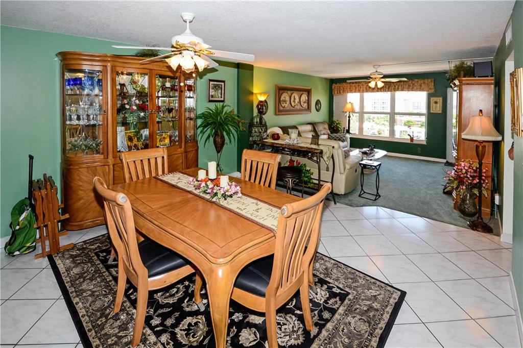 Living room /dining room   Open concept