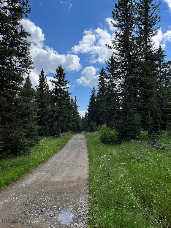 Looking back on the lot