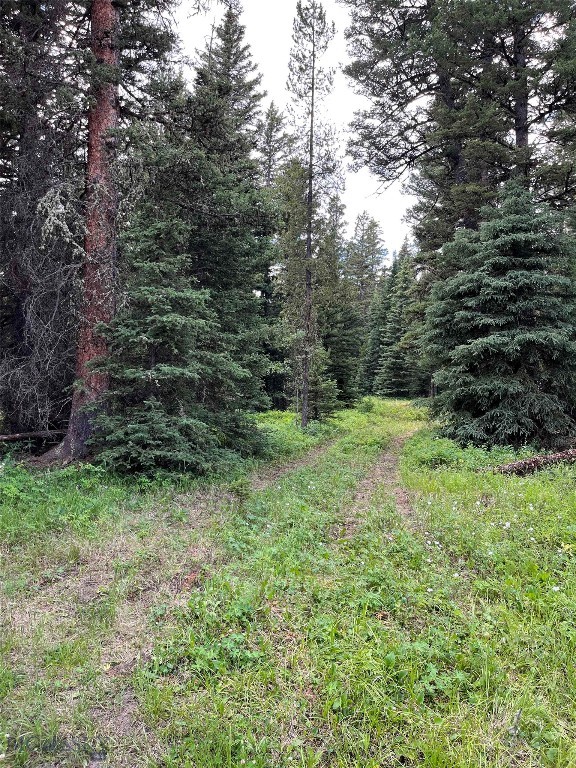 Potential build site