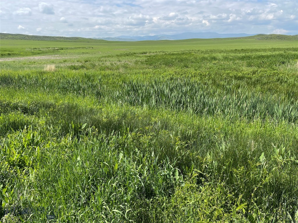 Year Around Spring Ideal for Pond